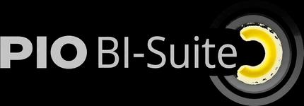 pio BI-Suite, the previous system