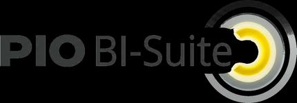 pio BI-Suite, the previous system